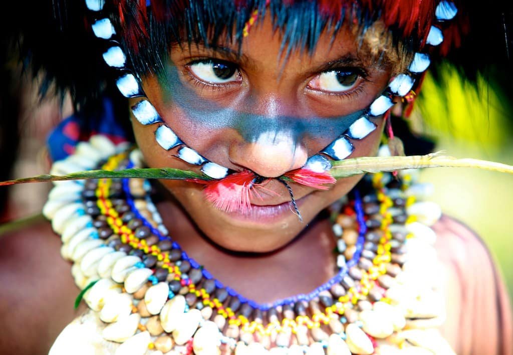 Strange Possum Species Lived in Australia 25 Million Years Ago