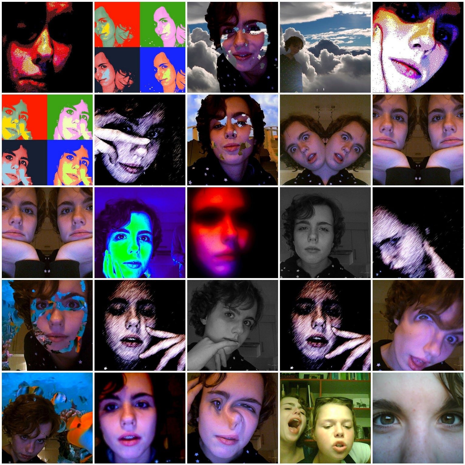 Odd Wombat Relative Once Lived in Australia