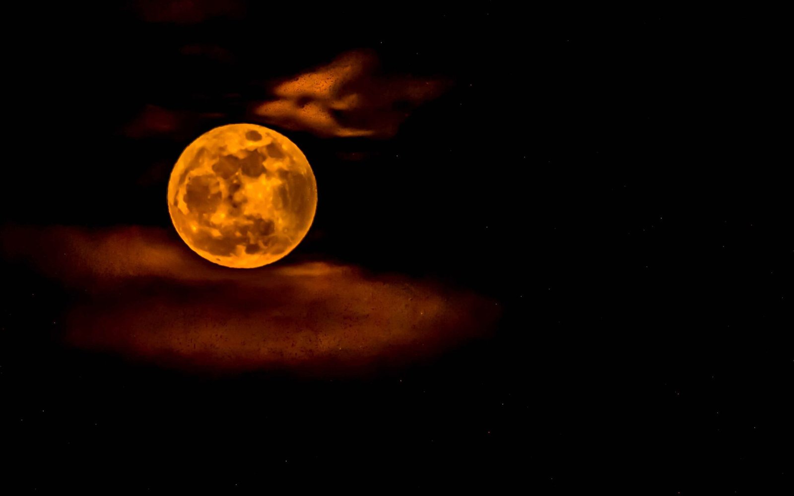 Earth Month Challenge: 30 Easy Actions for each Day of April