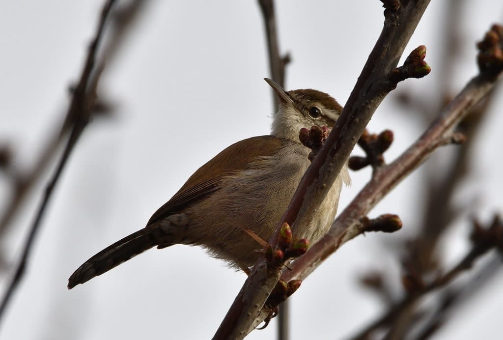 Judge Deals Fox Defeat In Dominion Case