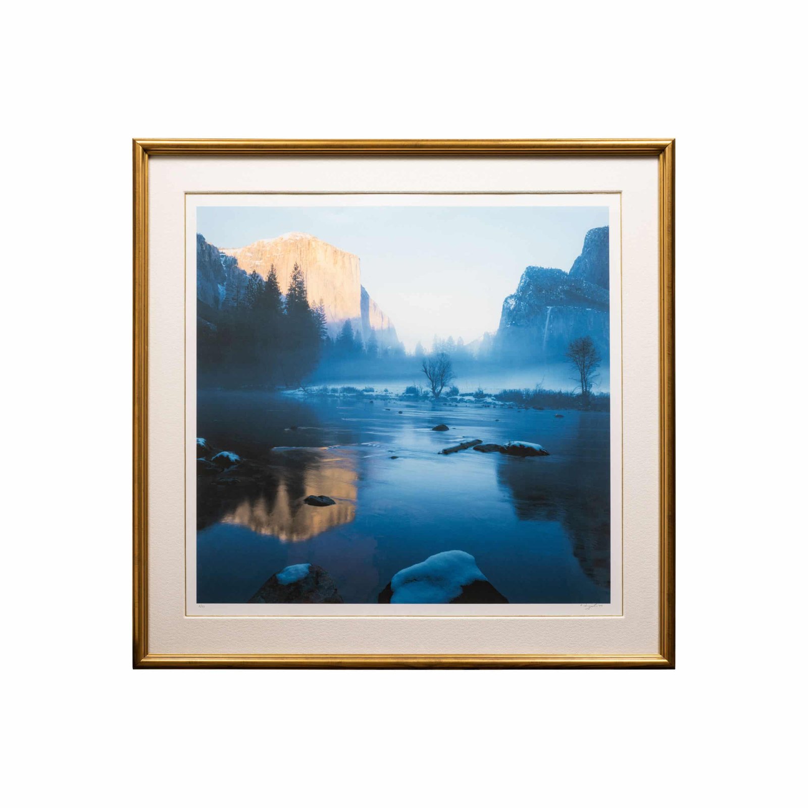 UFC Legend José Aldo Rips Conor McGregor, Discusses Potential Floyd Mayweather Fight