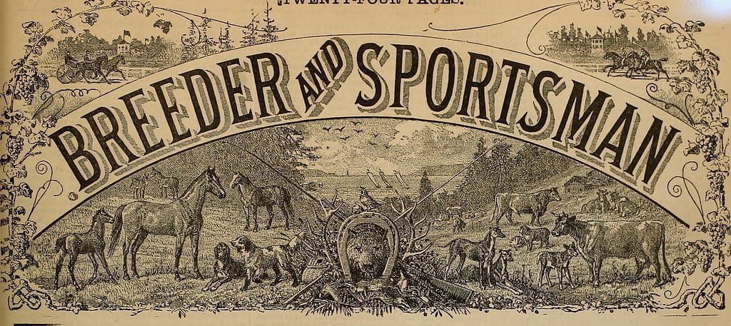 Dollar Poised to Stay Weak After Friday’s United States Jobs Data