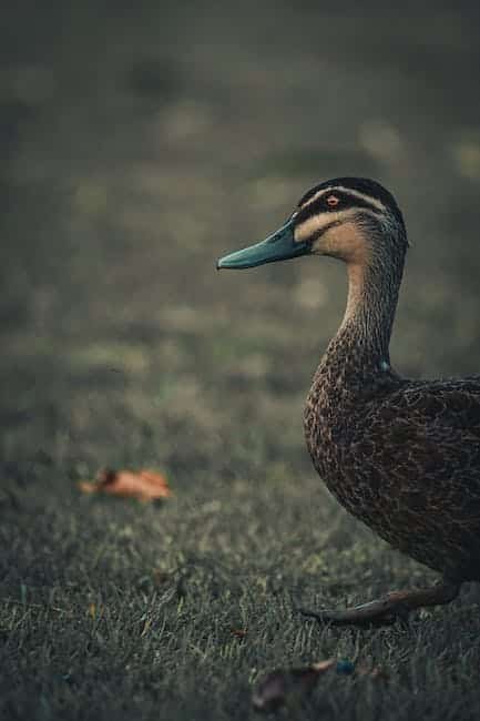 RPGCast-- Episode 371: "EVERYONE'S FIRED" 1 RPGCast– Episode 371: “EVERYONE’S FIRED”