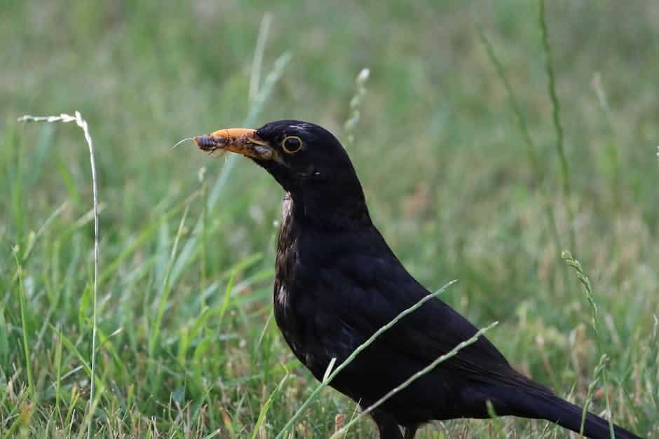 Pound Sterling Price News and Forecast: GBP/USD no indications of life in pound sterling