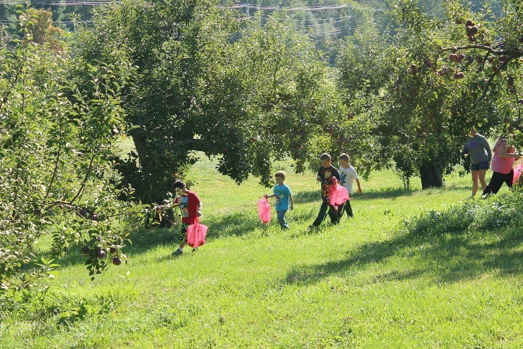 Apple television is presenting multiview for Friday Night Baseball and MLS Season Pass 1 Apple television is presenting multiview for Friday Night Baseball and MLS Season Pass