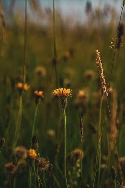 2022 was especially a year of development in the market, not decrease