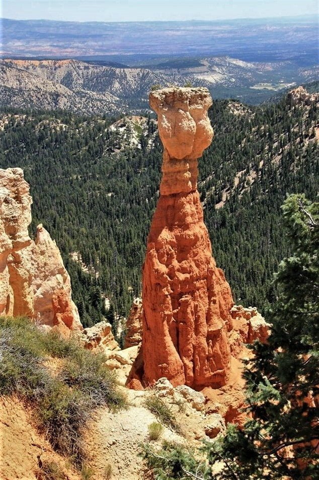 Warren Moon Says Bryce Young Is NFL Draft’s Top QB Prospect