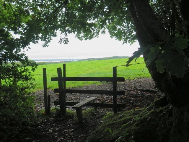 Why Stagwell's Mark Penn sees AR and AI as the greatest disruptors to the market 1 Why Stagwell’s Mark Penn sees AR and AI as the greatest disruptors to the market