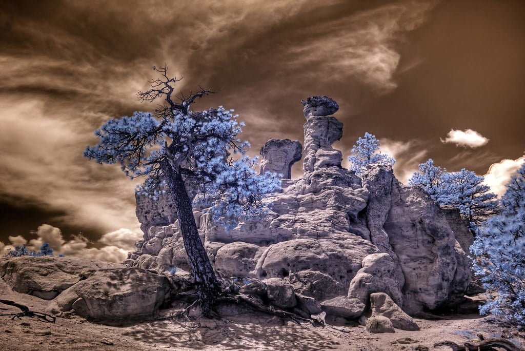 “Bayer has outstanding potential customers for the future”