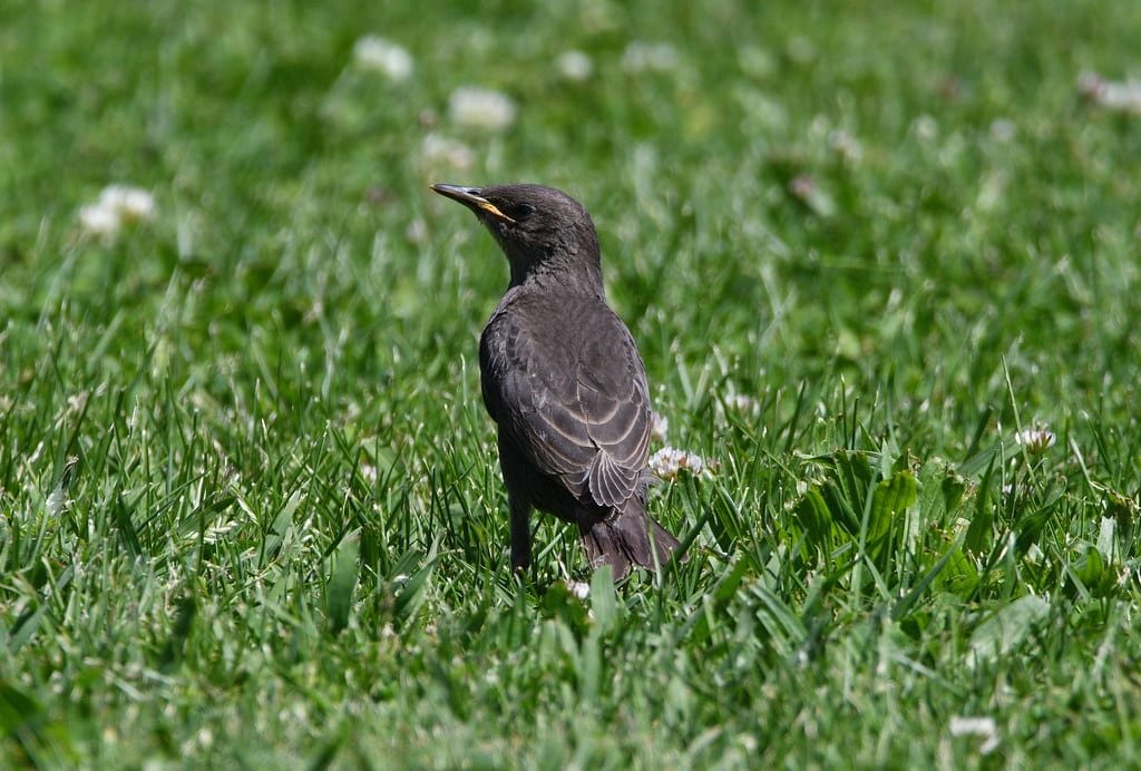 7 Surprising Trends That Will Change The Way Hotels Handle Groups and Events Business 1 Surprising Trends That Will Change