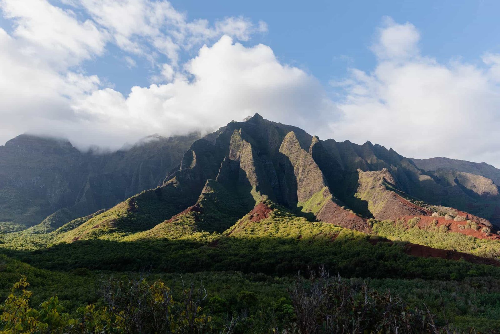 Consent for significant Nottingham bioscience job