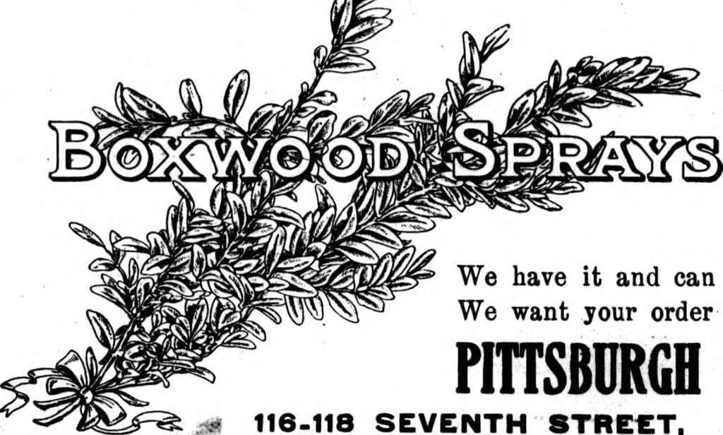 Pointing Out Pittsburgh Collapse