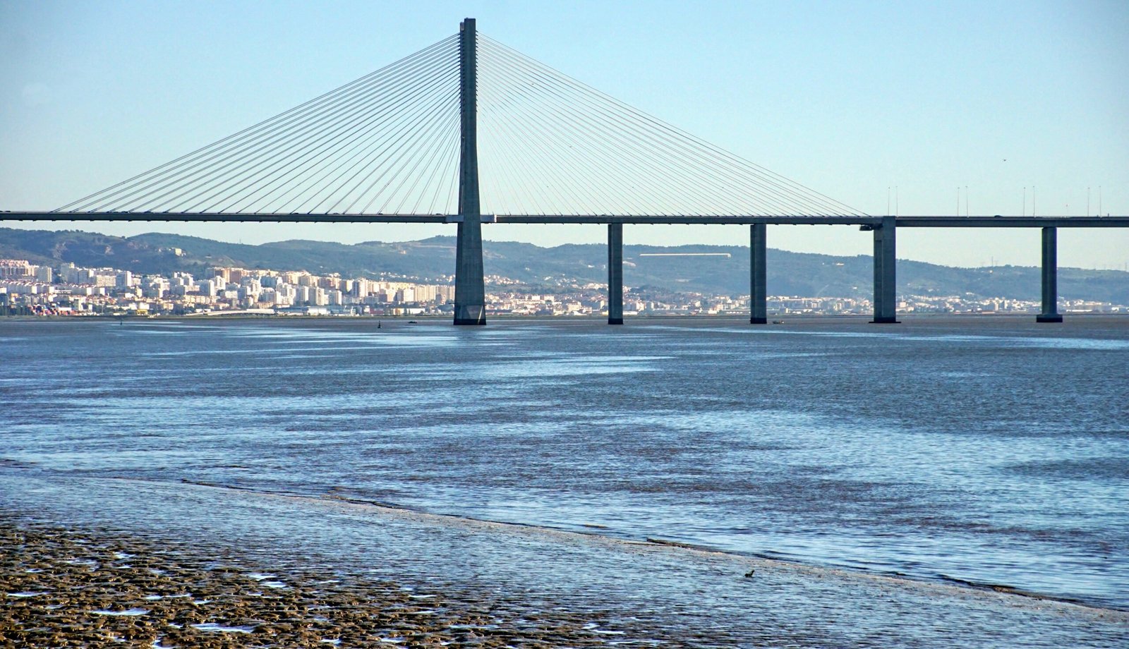 Seismic waves communicate lithospheric delamination system in South China 1 Seismic waves communicate lithospheric delamination system in South China