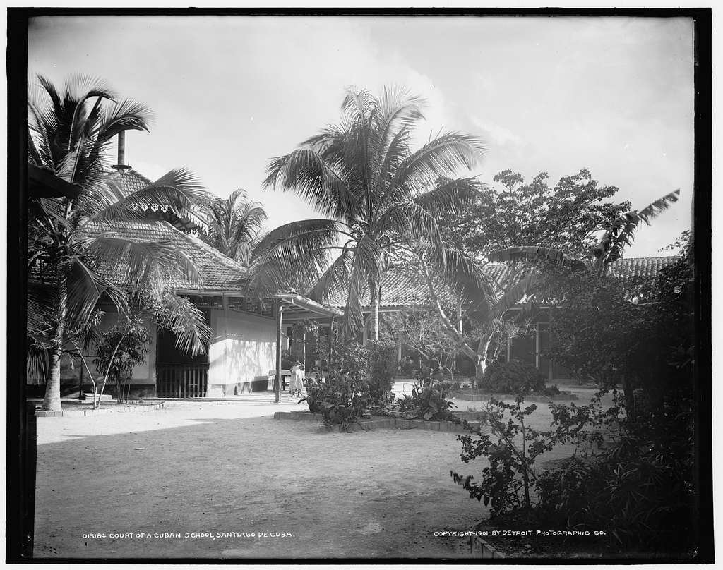 Mark Cuban Makes Waves with NFT Transformation of his Book