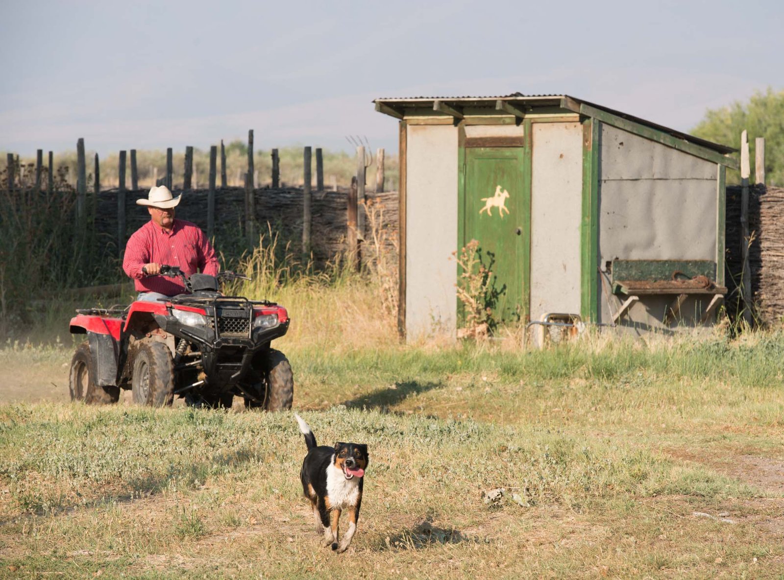 AAROK is France's larger