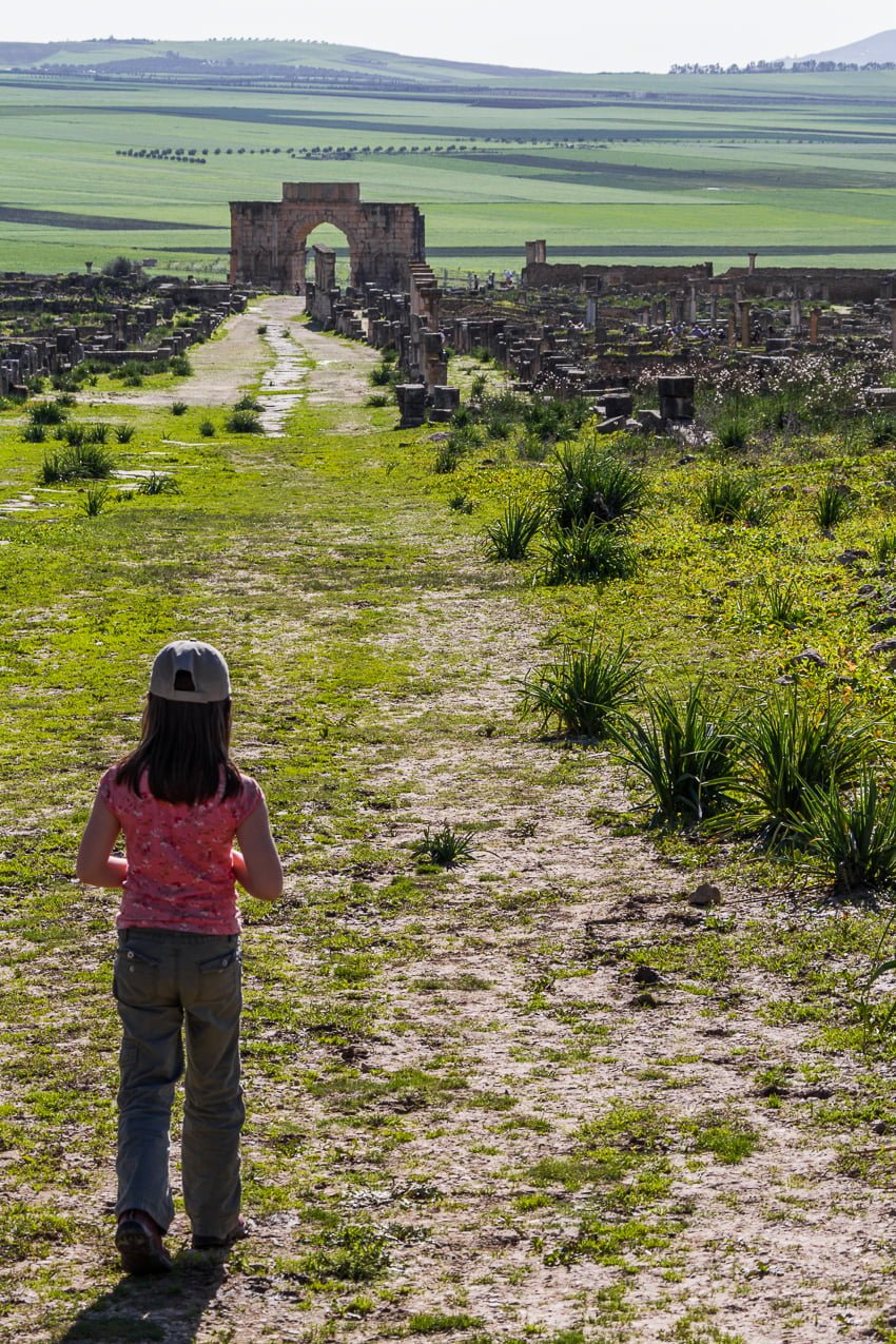 Italy-Argentina, Germany-Morocco forecasts, choices by Chris 'The Bear' Fallica 1 Italy-Argentina